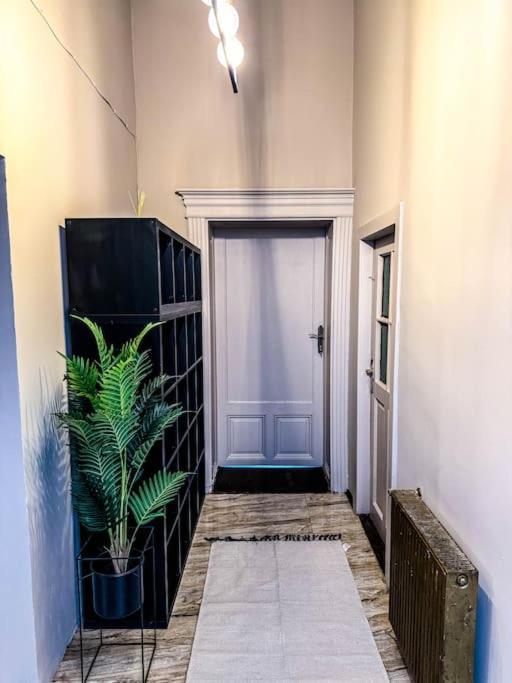Cozy & Charming Apt. Downtown Lägenhet Timişoara Exteriör bild